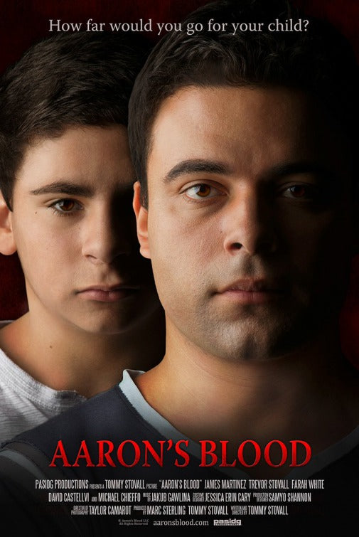 1000 piece jigsaw puzzle for the movie poster: Aaron's Blood (2017)