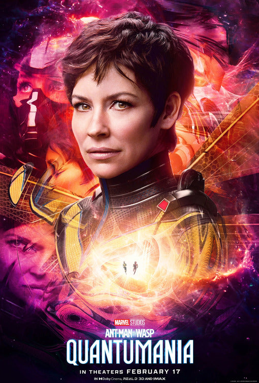 1000 piece jigsaw puzzle for the movie poster: Ant-Man and the Wasp: Quantumania (2023) ver6