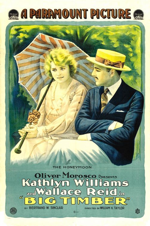 the movie poster: Big Timber (1917)