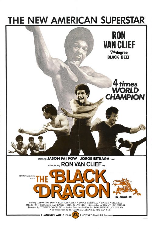 the movie poster: The Black Dragon (1974)