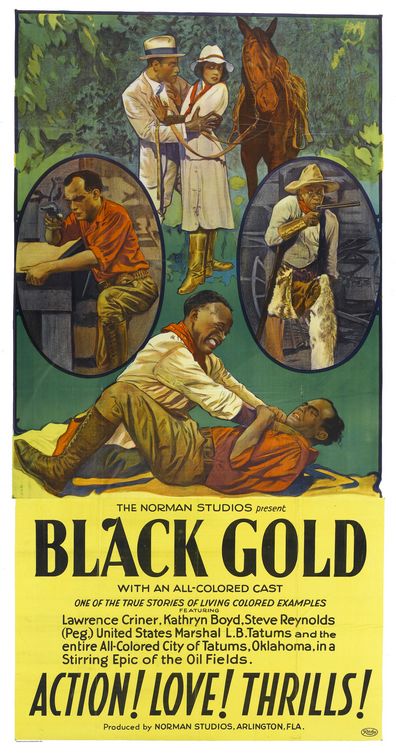 the movie poster: Black Gold (1928) ver2