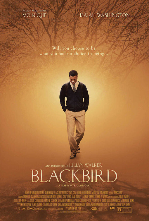 1000 piece jigsaw puzzle for the movie poster: Blackbird (2015) ver2