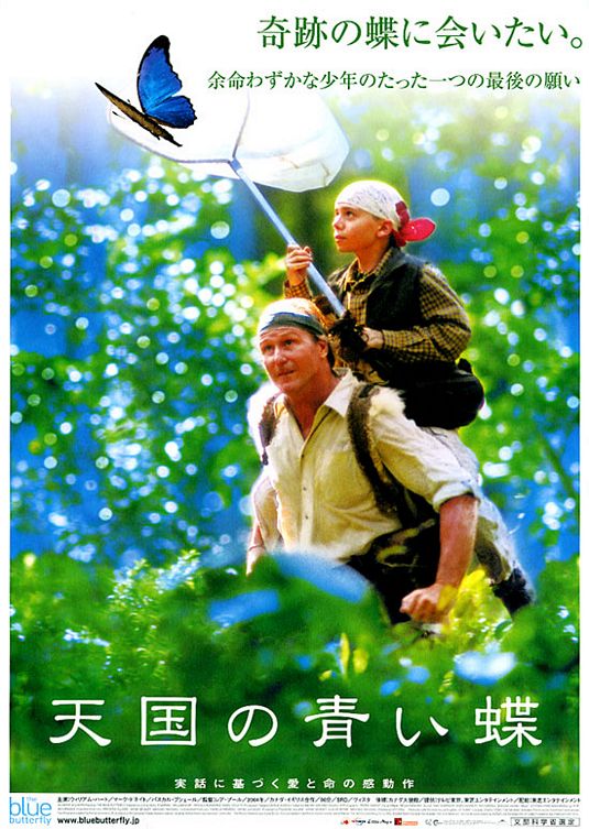 the movie poster: The Blue Butterfly (2004) ver2