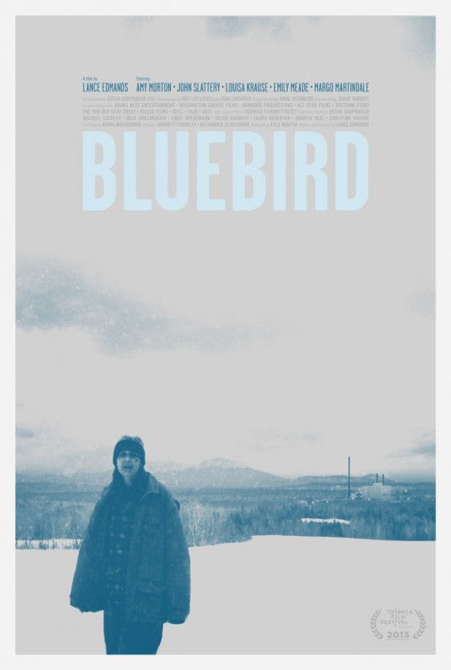 1000 piece jigsaw puzzle for the movie poster: Bluebird (2013)