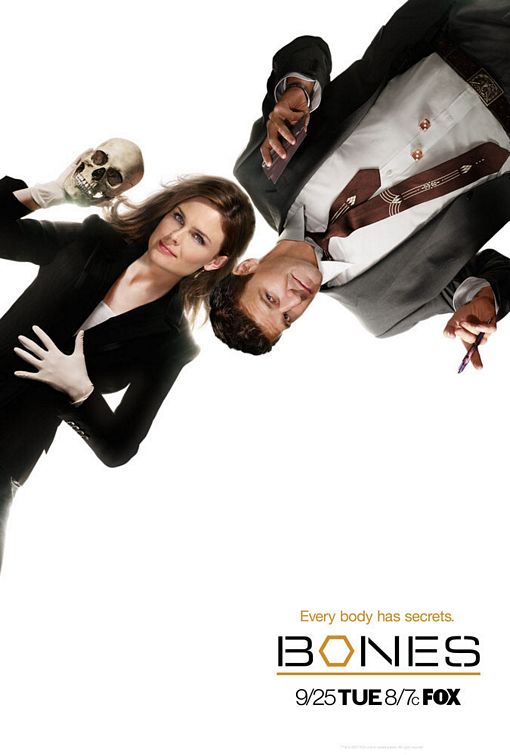 1000 piece jigsaw puzzle for tv poster: Bones