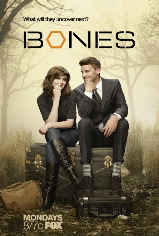 1000 piece jigsaw puzzle for tv poster: Bones, ver8