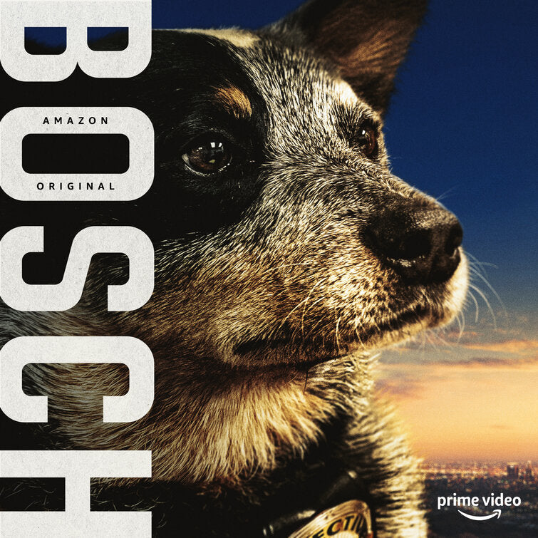 1000 piece jigsaw puzzle for tv poster: Bosch, ver18
