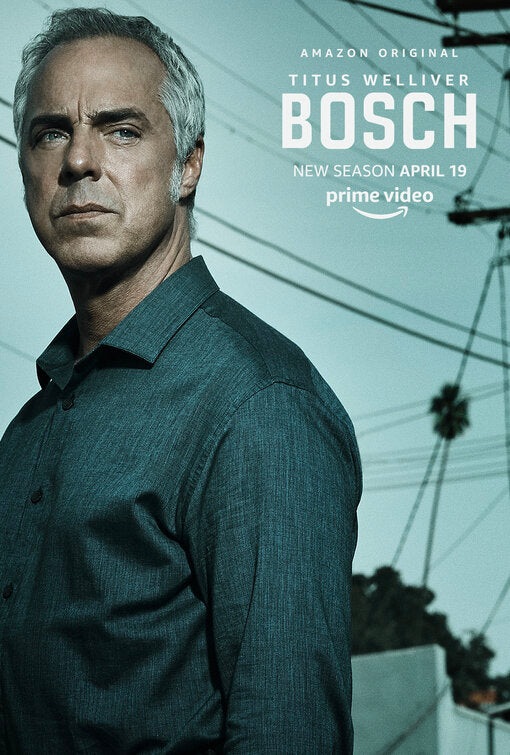 1000 piece jigsaw puzzle for tv poster: Bosch, ver7