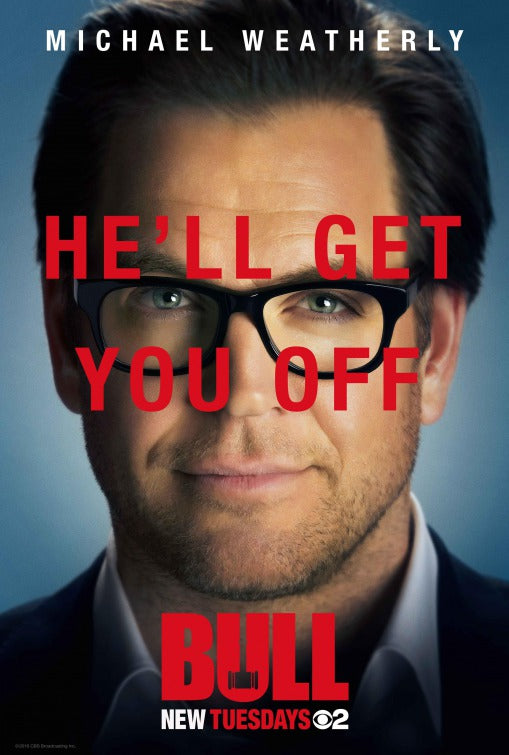 1000 piece jigsaw puzzle for tv poster: Bull