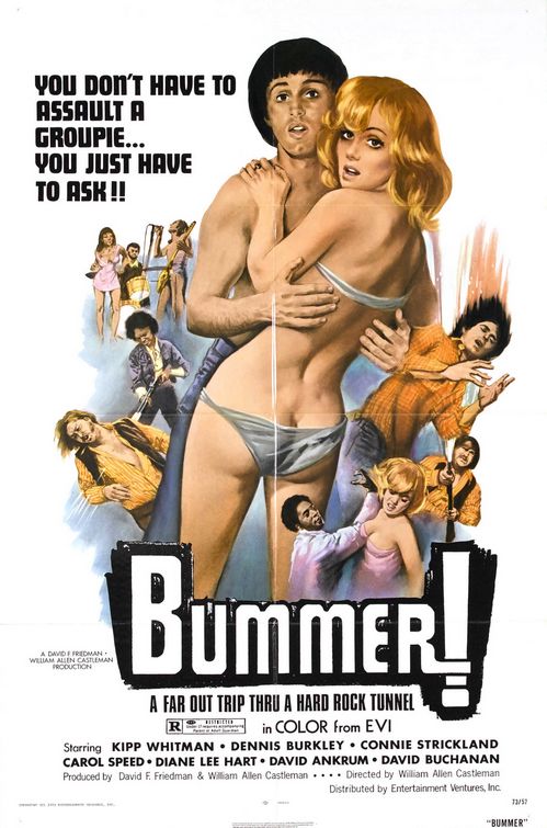 the movie poster: Bummer (1973)