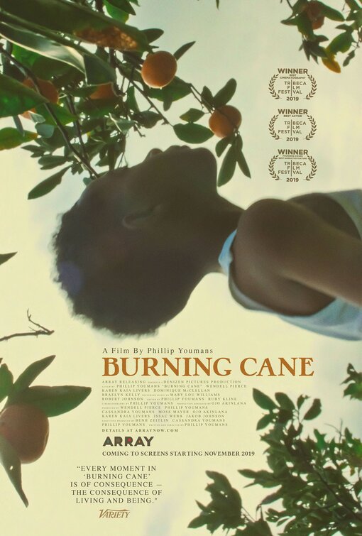1000 piece jigsaw puzzle for the movie poster: Burning Cane (2019)