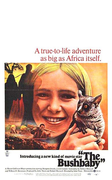 the movie poster: The Bushbaby (1970)