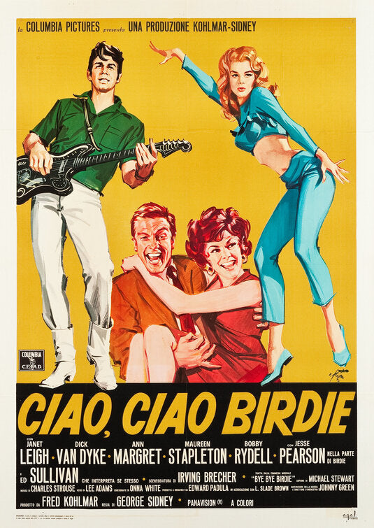 1000 piece jigsaw puzzle for the movie poster: Bye Bye Birdie (1963) ver2