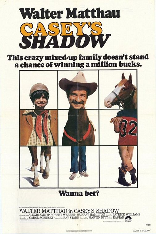 the movie poster: Casey's Shadow (1978)