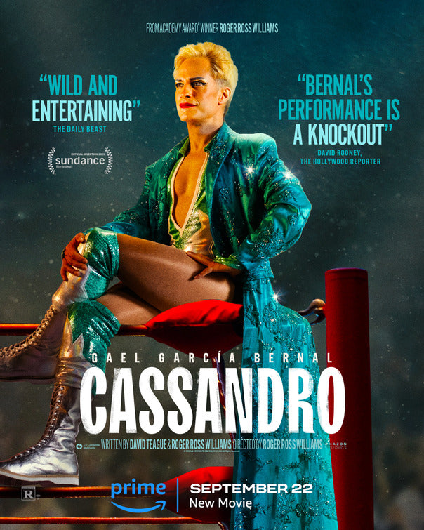1000 piece jigsaw puzzle for the movie poster: Cassandro (2023) ver2