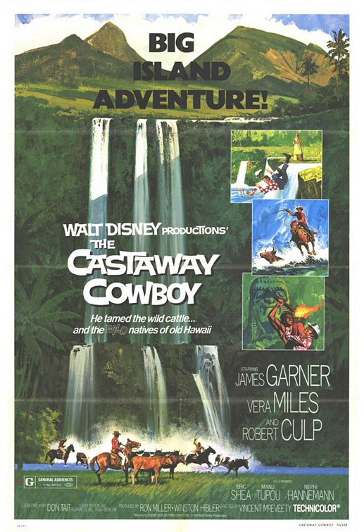 the movie poster: The Castaway Cowboy (1974)