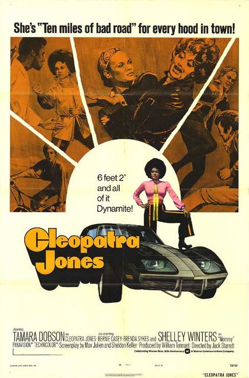 the movie poster: Cleopatra Jones (1973) ver2