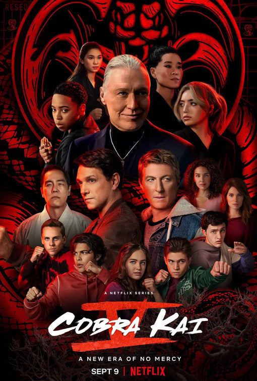 1000 piece jigsaw puzzle for tv poster: Cobra Kai, ver20