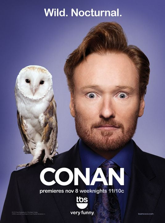 1000 piece jigsaw puzzle for tv poster: Conan