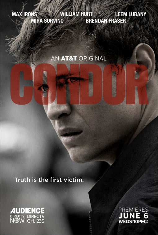 1000 piece jigsaw puzzle for tv poster: Condor
