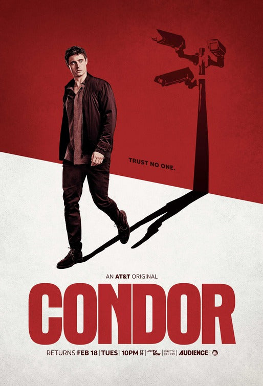 1000 piece jigsaw puzzle for tv poster: Condor, ver2
