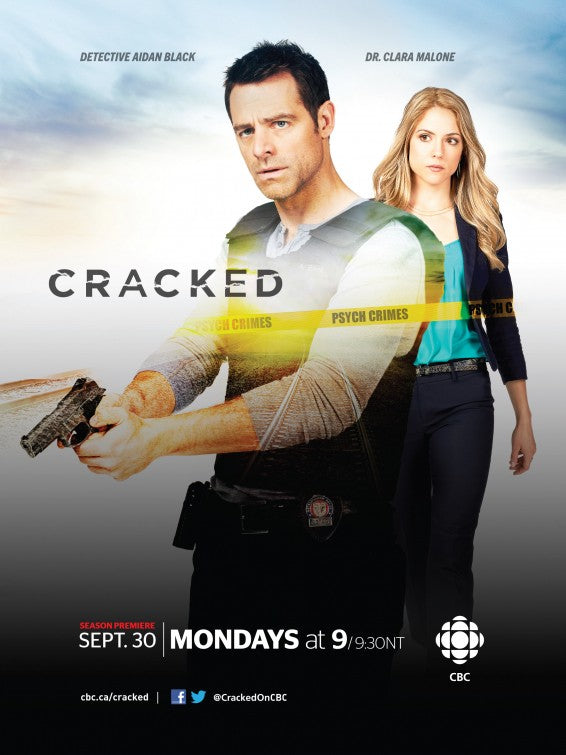 1000 piece jigsaw puzzle for tv poster: Cracked