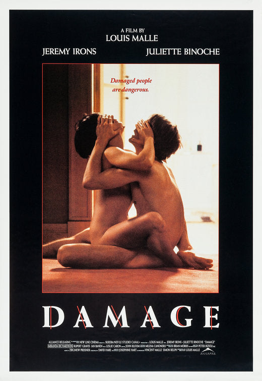 the movie poster: Damage (1992) ver2