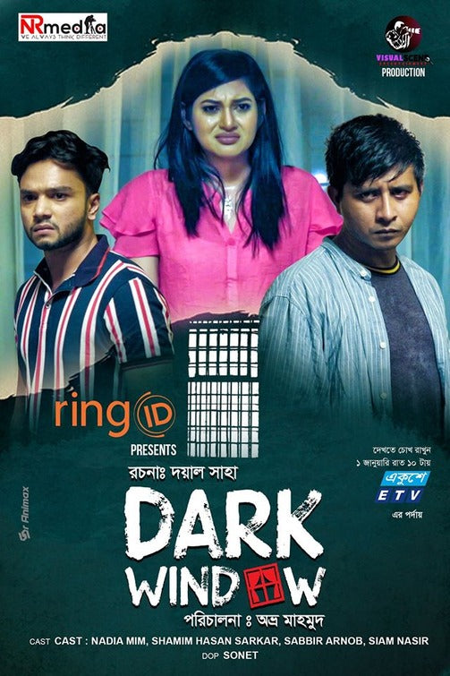 1000 piece jigsaw puzzle for tv poster: Dark Window
