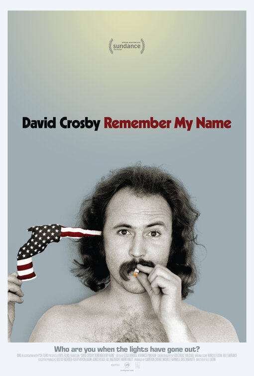 1000 piece jigsaw puzzle for the movie poster: David Crosby: Remember My Name (2019)