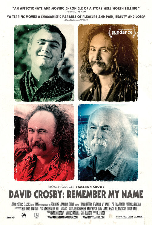 1000 piece jigsaw puzzle for the movie poster: David Crosby: Remember My Name (2019) ver2