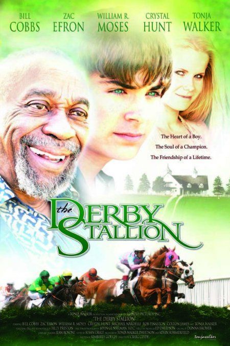 the movie poster: The Derby Stallion (2005)