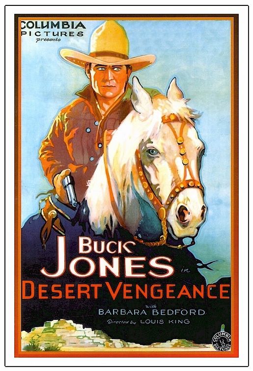 the movie poster: Desert Vengeance (1931)