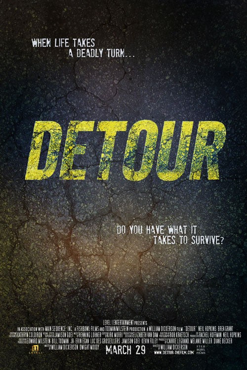1000 piece jigsaw puzzle for the movie poster: Detour (2013)