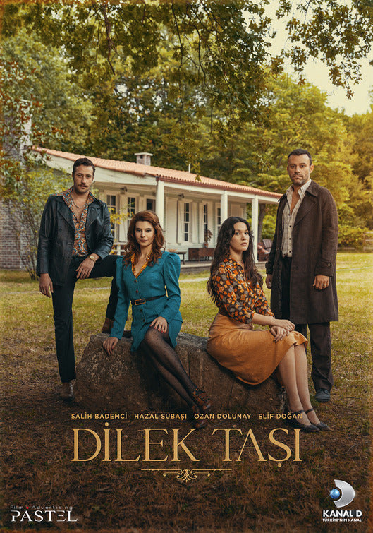 1000 piece jigsaw puzzle for tv poster: Dilek Tasi, ver5
