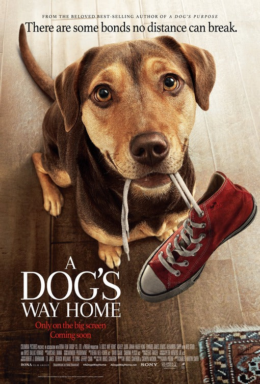1000 piece jigsaw puzzle for the movie poster: A Dog's Way Home (2019) ver2