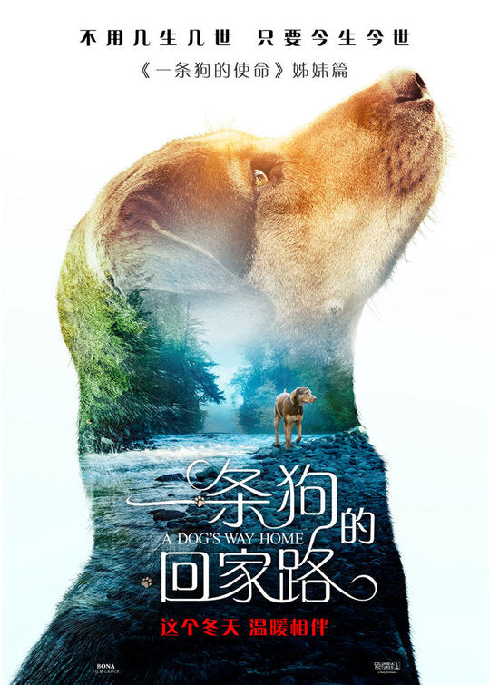 1000 piece jigsaw puzzle for the movie poster: A Dog's Way Home (2019) ver3