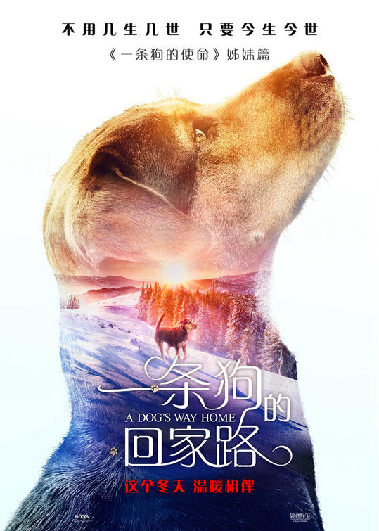1000 piece jigsaw puzzle for the movie poster: A Dog's Way Home (2019) ver6