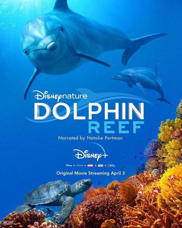 1000 piece jigsaw puzzle for tv poster: Dolphin Reef