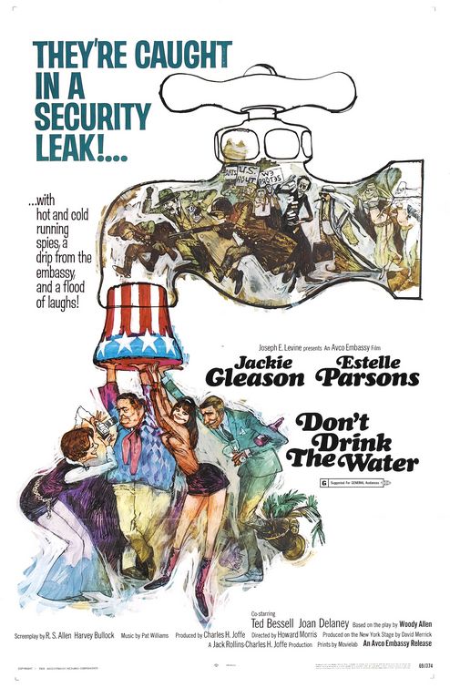 the movie poster: Don't Drink the Water (1969)