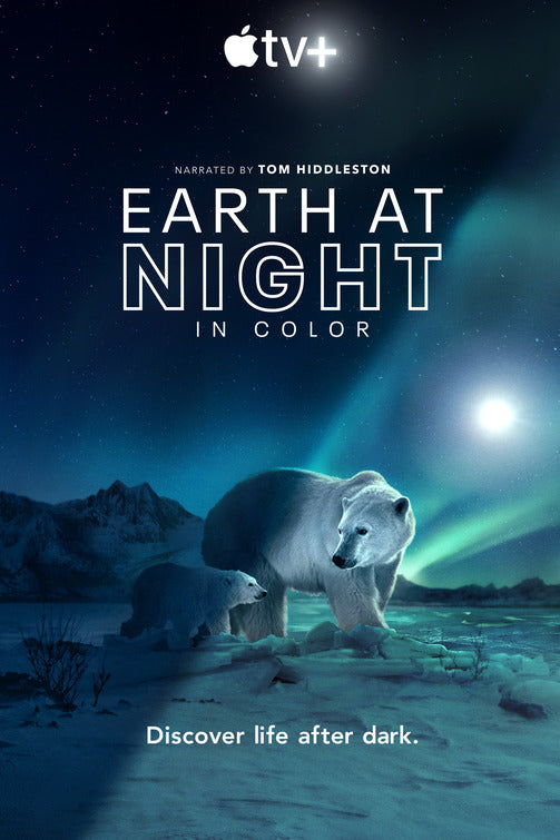 1000 piece jigsaw puzzle for tv poster: Earth at Night in Color, ver2