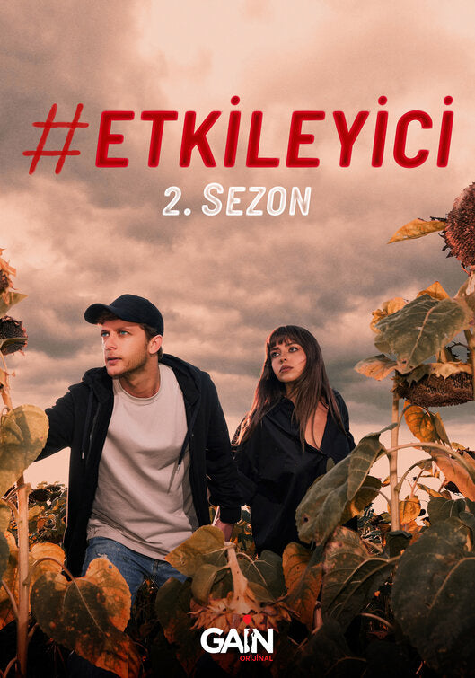 1000 piece jigsaw puzzle for tv poster: Etkileyici, ver3