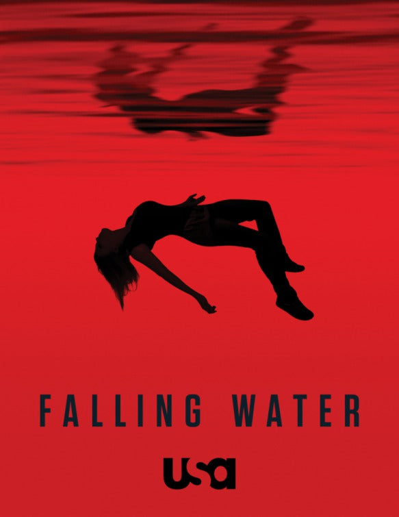 1000 piece jigsaw puzzle for tv poster: Falling Water, ver2