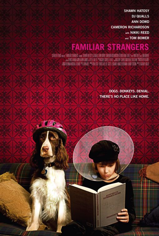 the movie poster: Familiar Strangers (2008)