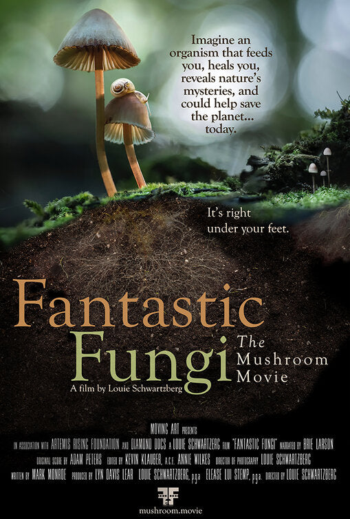1000 piece jigsaw puzzle for the movie poster: Fantastic Fungi (2019)