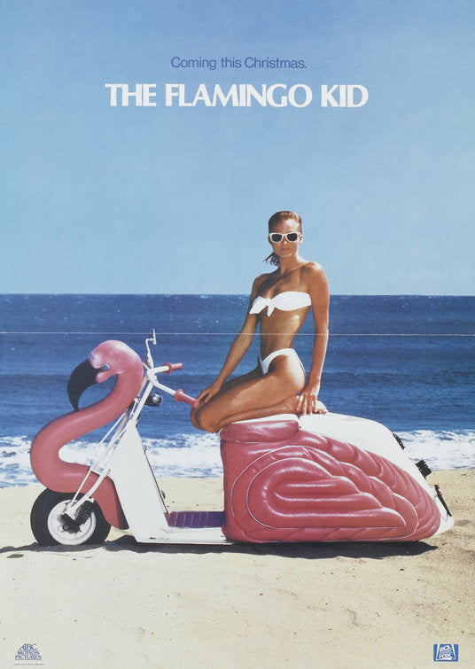 the movie poster: The Flamingo Kid (1984) ver3