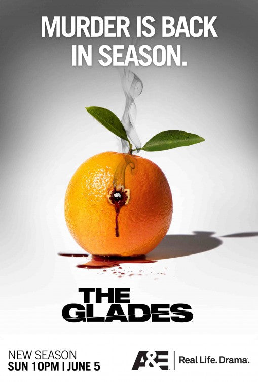 1000 piece jigsaw puzzle for tv poster: The Glades, ver3