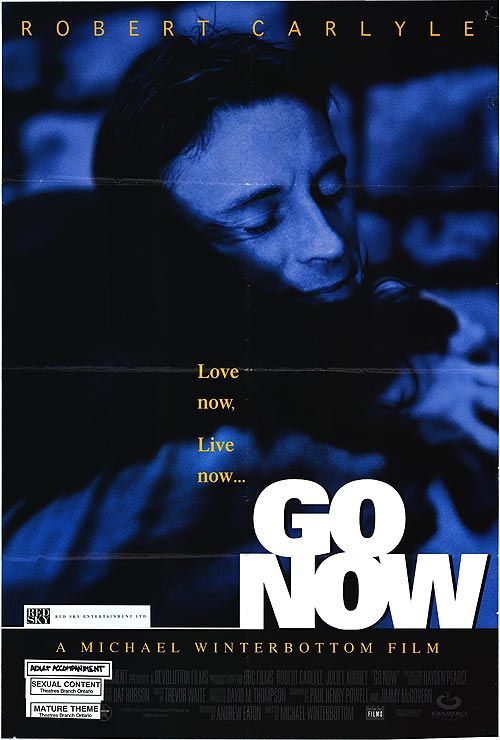 the movie poster: Go Now (1998)