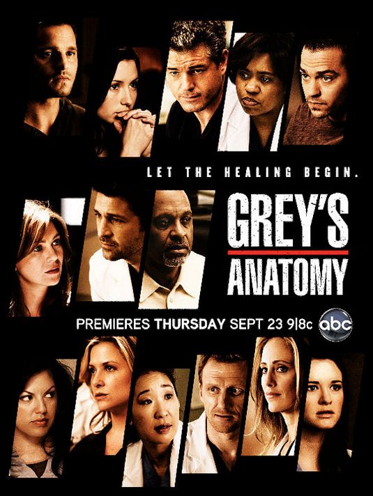 1000 piece jigsaw puzzle for tv poster: Grey's Anatomy, ver8