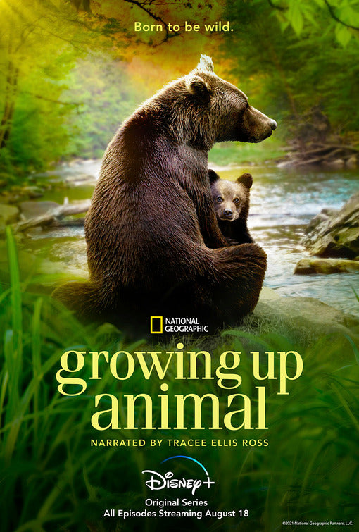 1000 piece jigsaw puzzle for tv poster: Growing Up Animal