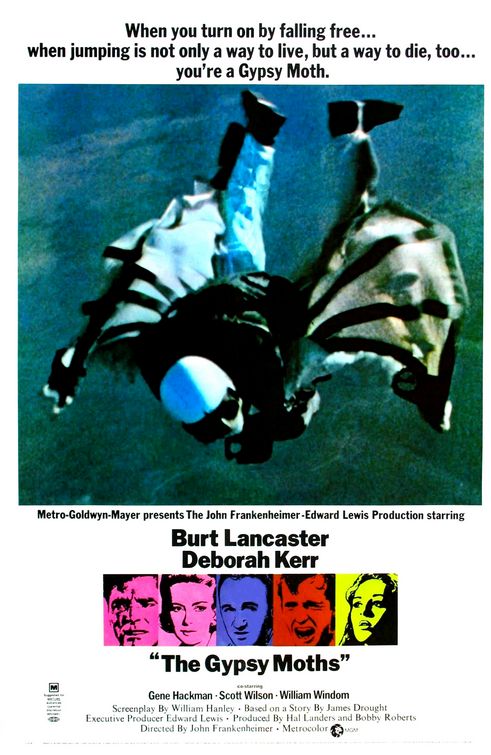 the movie poster: The Gypsy Moths (1969)